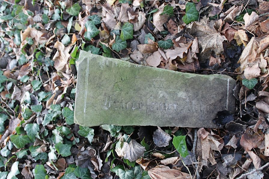 Grabstein Nummer 6 auf dem Friedhof Pszczew (Betsche)
