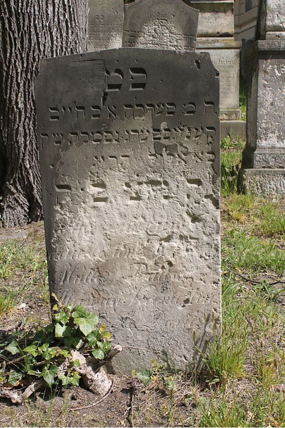 Grabstein Nummer 189 auf dem Friedhof Potsdam