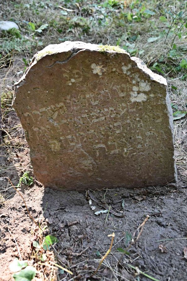 Grabstein Nummer 40 auf dem Friedhof Trzemeszno Lubuskie (Schermeisel)