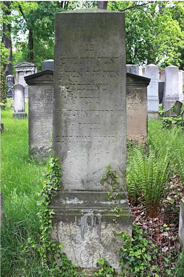 Grabstein Nummer 228 auf dem Friedhof Potsdam