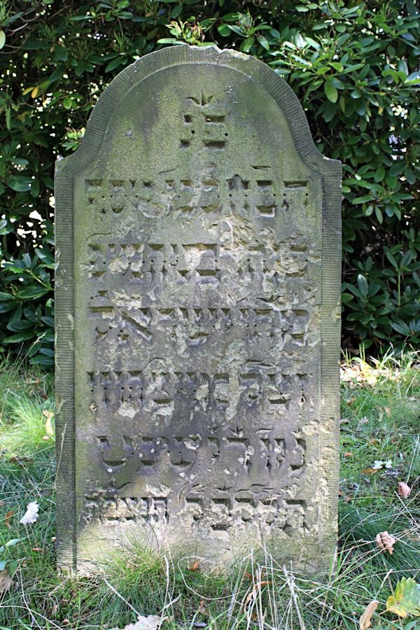 Grabstein Nummer 119 auf dem Friedhof Potsdam
