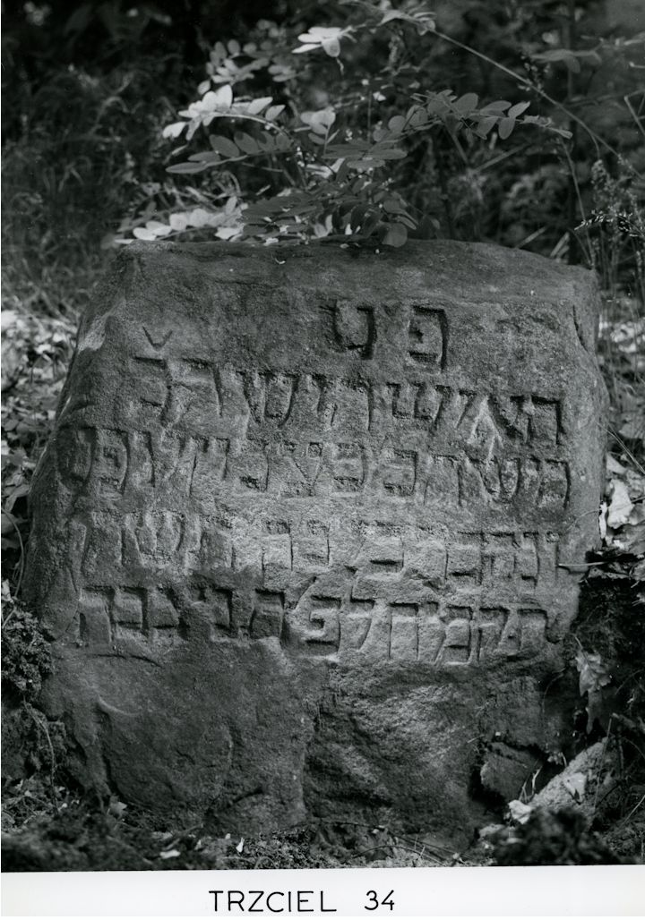 Grabstein Nummer 68 auf dem Friedhof Trzciel (Tirschtiegel)
