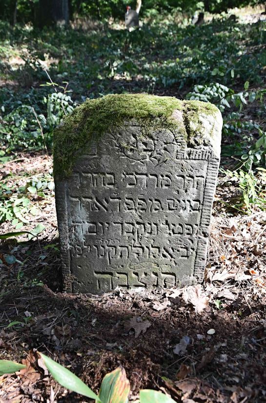 Grabstein Nummer 24 auf dem Friedhof Trzemeszno Lubuskie (Schermeisel)