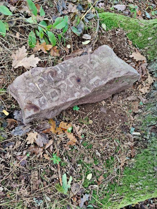 Grabstein Nummer 31 auf dem Friedhof Trzemeszno Lubuskie (Schermeisel)