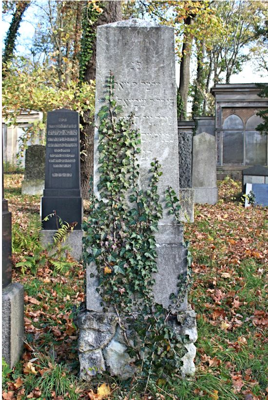 Grabstein Nummer 325 auf dem Friedhof Potsdam