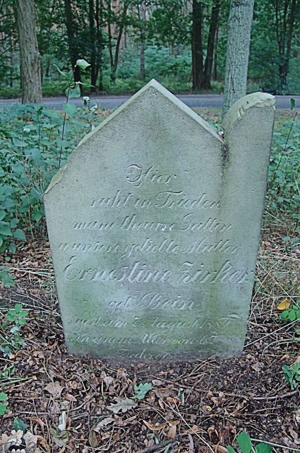 Grabstein Nummer 16 auf dem Friedhof Trzciel (Tirschtiegel)