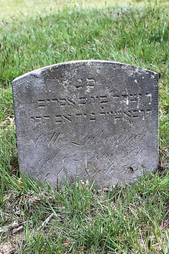 Grabstein Nummer 161 auf dem Friedhof Potsdam