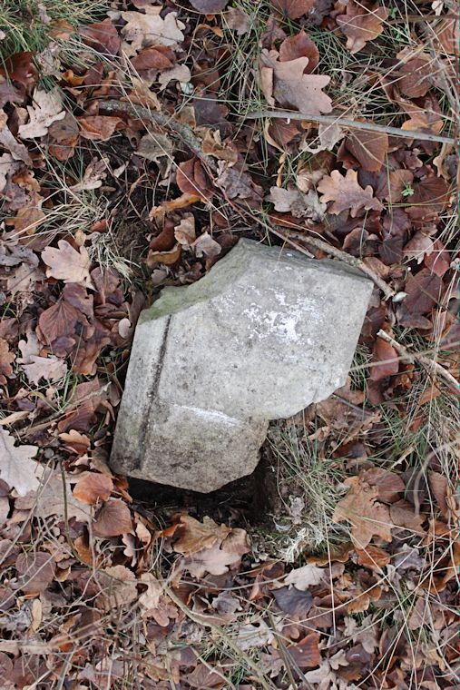 Grabstein Nummer 5 auf dem Friedhof Zasieki (Forst)