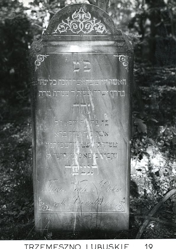 Grabstein Nummer 11 auf dem Friedhof Trzemeszno Lubuskie (Schermeisel)