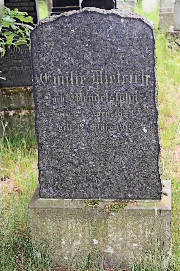 Grabstein Nummer 369 auf dem Friedhof Potsdam