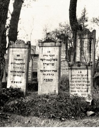 Grabstein Nummer 2004 auf dem Friedhof Frankfurt/Oder