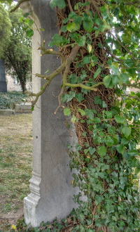Grabstein Nummer 25 auf dem Friedhof Schwedt