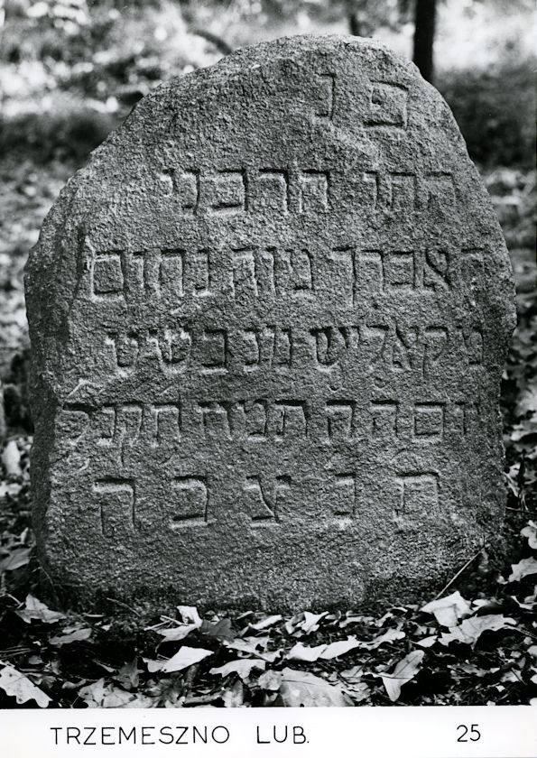 Grabstein Nummer 32 auf dem Friedhof Trzemeszno Lubuskie (Schermeisel)