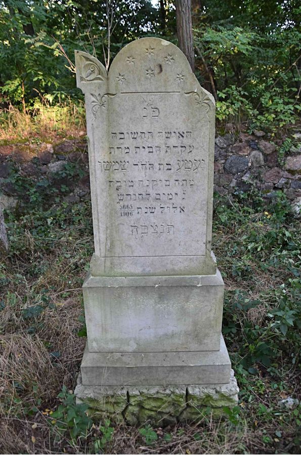 Grabstein Nummer 113 auf dem Friedhof Trzemeszno Lubuskie (Schermeisel)