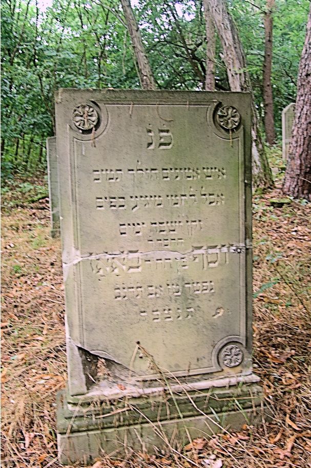 Grabstein Nummer 98 auf dem Friedhof Trzciel (Tirschtiegel)