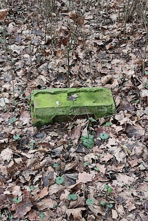 Grabstein Nummer 6 auf dem Friedhof Kargowa (Unruhstadt)