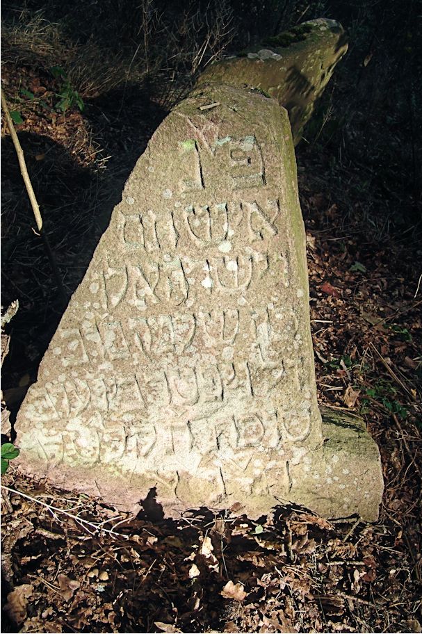 Grabstein Nummer 76 auf dem Friedhof Trzciel (Tirschtiegel)