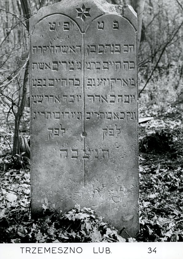 Grabstein Nummer 55 auf dem Friedhof Trzemeszno Lubuskie (Schermeisel)