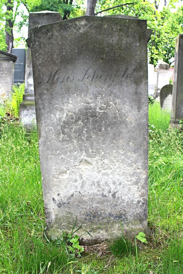 Grabstein Nummer 207 auf dem Friedhof Potsdam