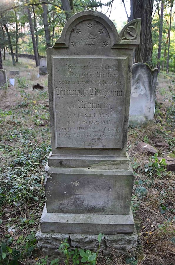 Grabstein Nummer 113 auf dem Friedhof Trzemeszno Lubuskie (Schermeisel)