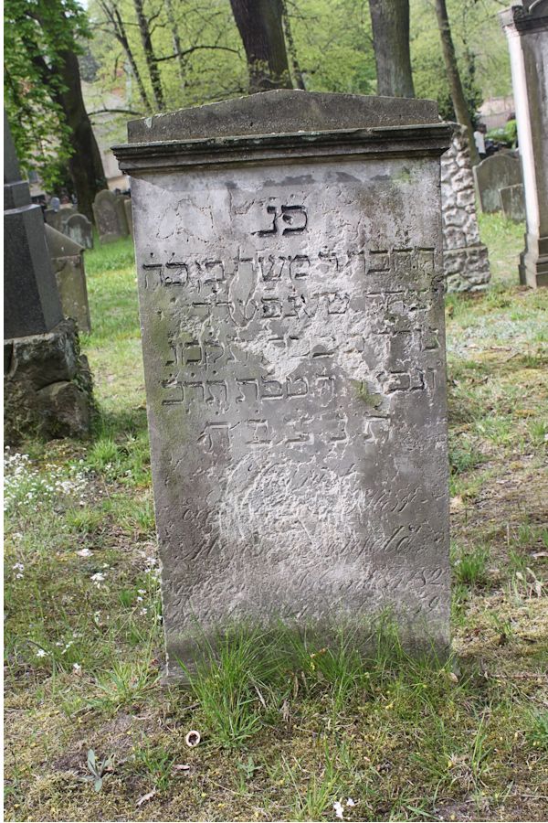 Grabstein Nummer 207 auf dem Friedhof Potsdam