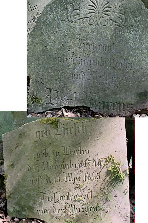 Grabstein Nummer 103 auf dem Friedhof Bledzew (Blesen)