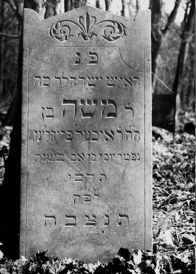 Grabstein Nummer 51 auf dem Friedhof Świętojańsko (St. Johannes)