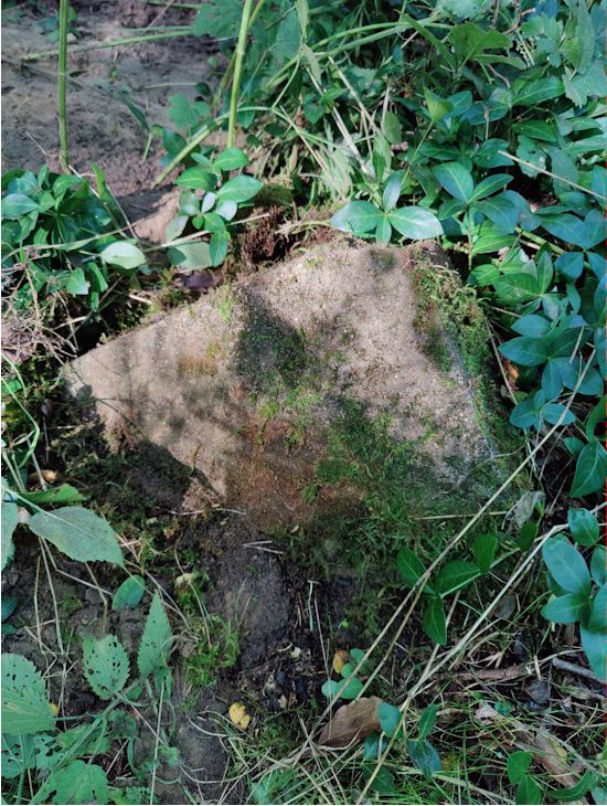 Grabstein Nummer 40 auf dem Friedhof Boleszkowice (Fürstenfelde)