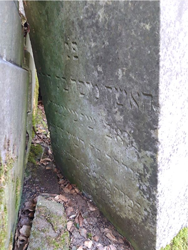 Grabstein Nummer 50 auf dem Friedhof Beeskow