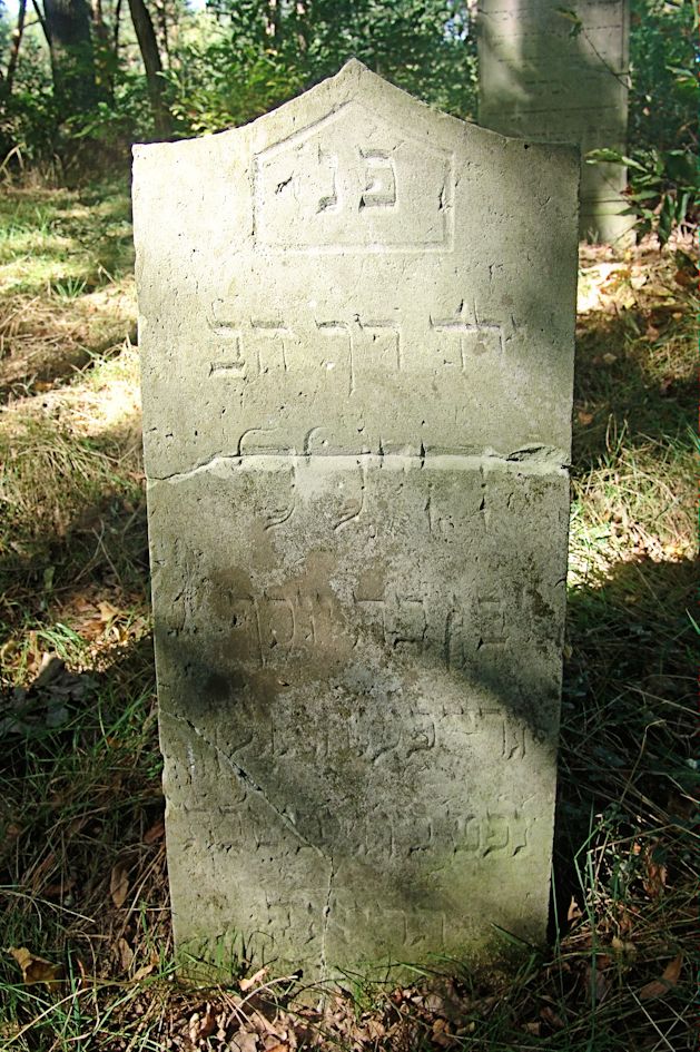 Grabstein Nummer 41 auf dem Friedhof Trzciel (Tirschtiegel)