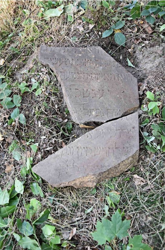 Grabstein Nummer 44 auf dem Friedhof Trzemeszno Lubuskie (Schermeisel)