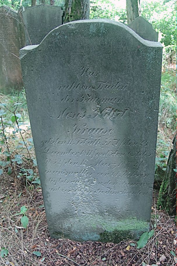 Grabstein Nummer 116 auf dem Friedhof Trzciel (Tirschtiegel)
