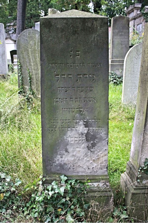 Grabstein Nummer 225 auf dem Friedhof Potsdam