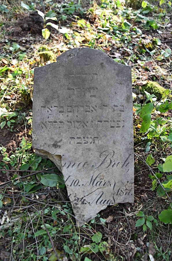Grabstein Nummer 83 auf dem Friedhof Trzemeszno Lubuskie (Schermeisel)