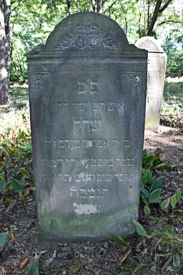 Grabstein Nummer 9 auf dem Friedhof Trzemeszno Lubuskie (Schermeisel)