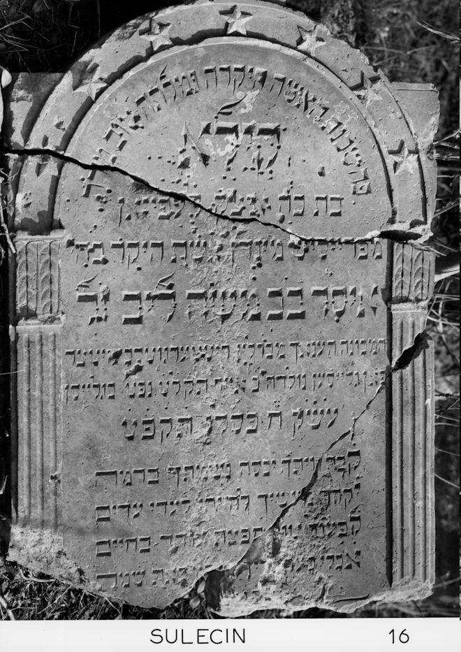 Grabstein Nummer 19 auf dem Friedhof Sulęcin (Zielenzig)