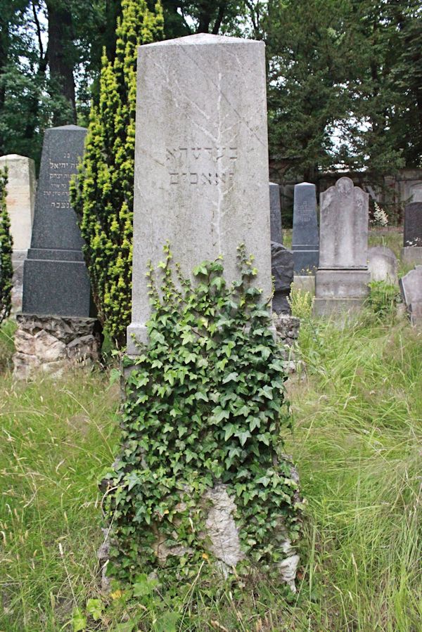 Grabstein Nummer 277 auf dem Friedhof Potsdam