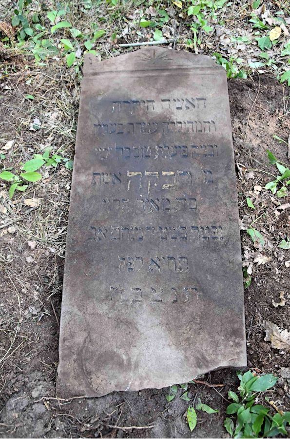 Grabstein Nummer 76 auf dem Friedhof Trzemeszno Lubuskie (Schermeisel)