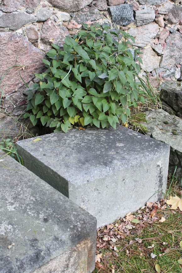 Grabstein Nummer 65 auf dem Friedhof Storkow