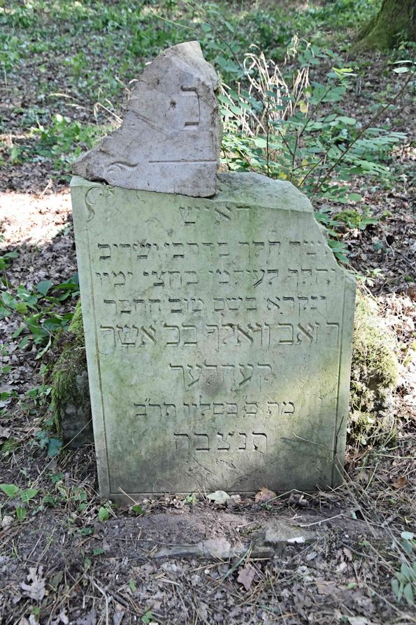 Grabstein Nummer 28 auf dem Friedhof Trzemeszno Lubuskie (Schermeisel)