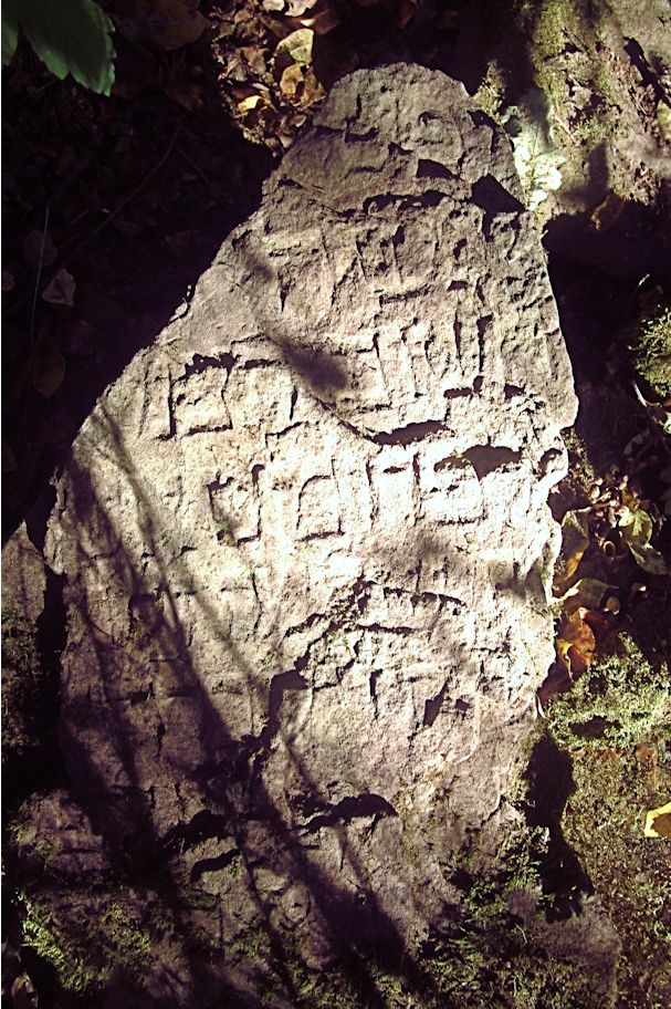 Grabstein Nummer 159 auf dem Friedhof Trzciel (Tirschtiegel)