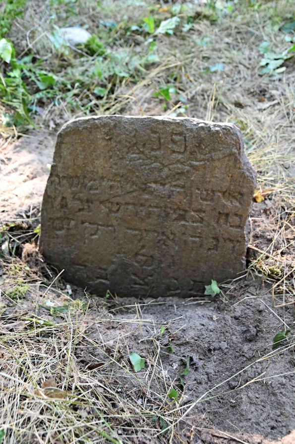 Grabstein Nummer 41 auf dem Friedhof Trzemeszno Lubuskie (Schermeisel)