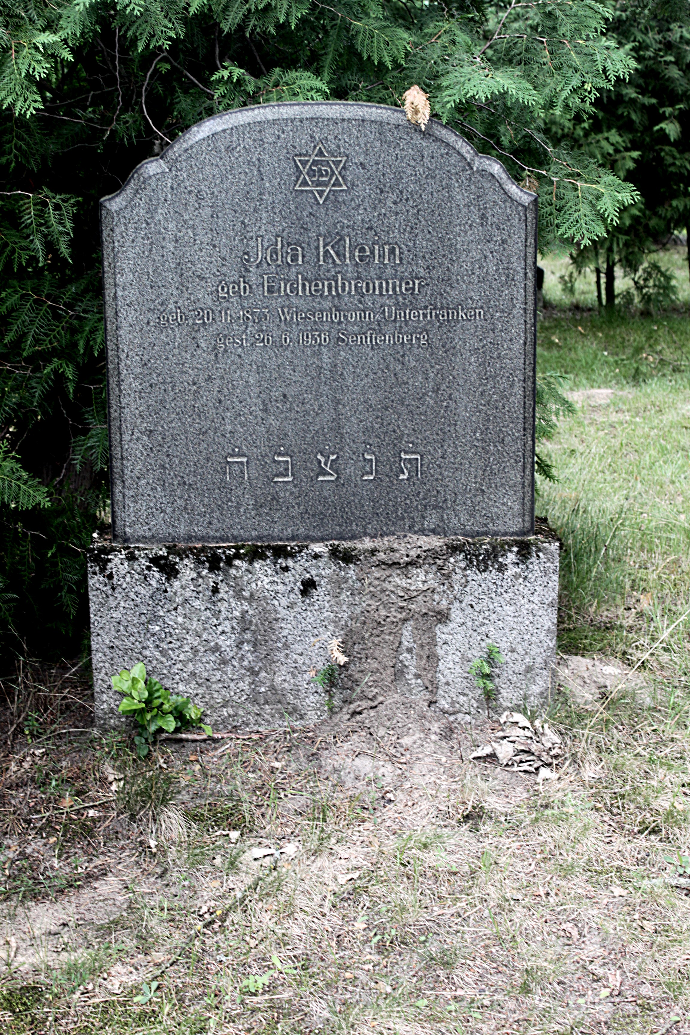 Grabstein Nummer 7 auf dem Friedhof Cottbus 1