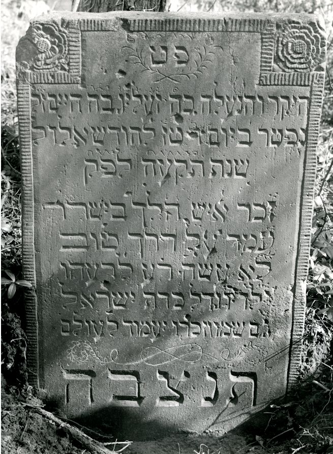 Grabstein Nummer 6 auf dem Friedhof Sulęcin (Zielenzig)