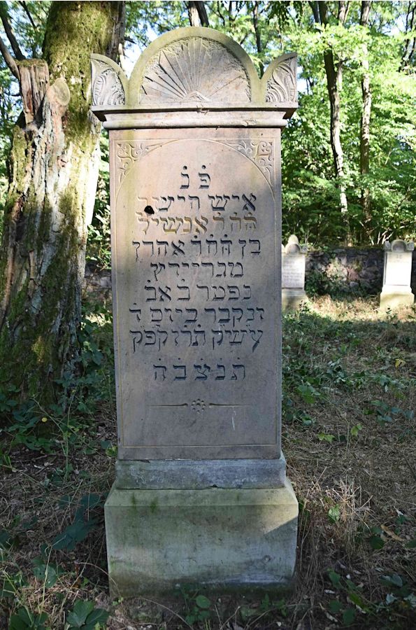 Grabstein Nummer 71 auf dem Friedhof Trzemeszno Lubuskie (Schermeisel)
