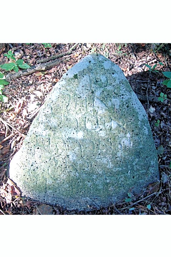 Grabstein Nummer 71 auf dem Friedhof Trzciel (Tirschtiegel)