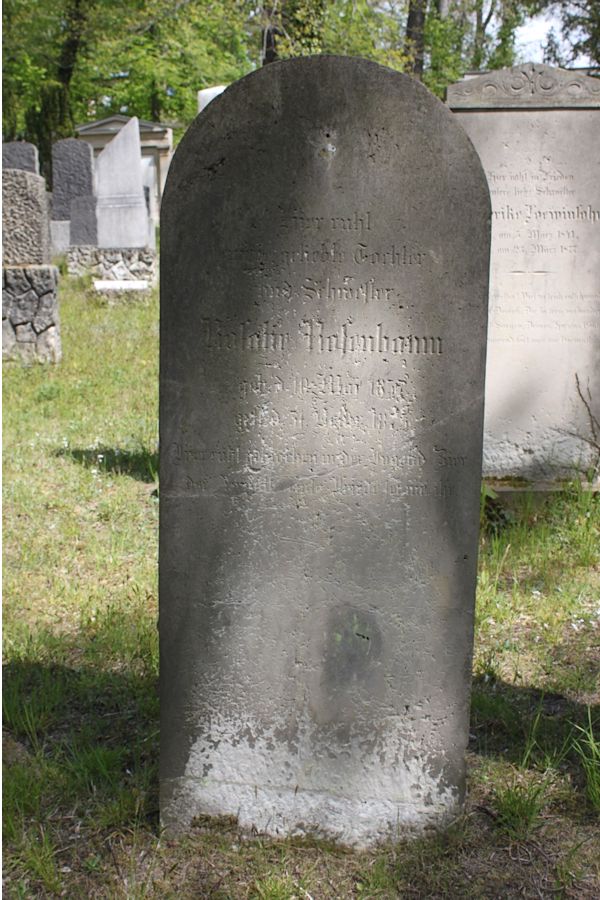 Grabstein Nummer 235 auf dem Friedhof Potsdam