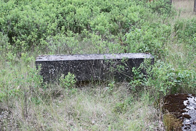 Grabstein Nummer 48 auf dem Friedhof Zasieki (Forst)