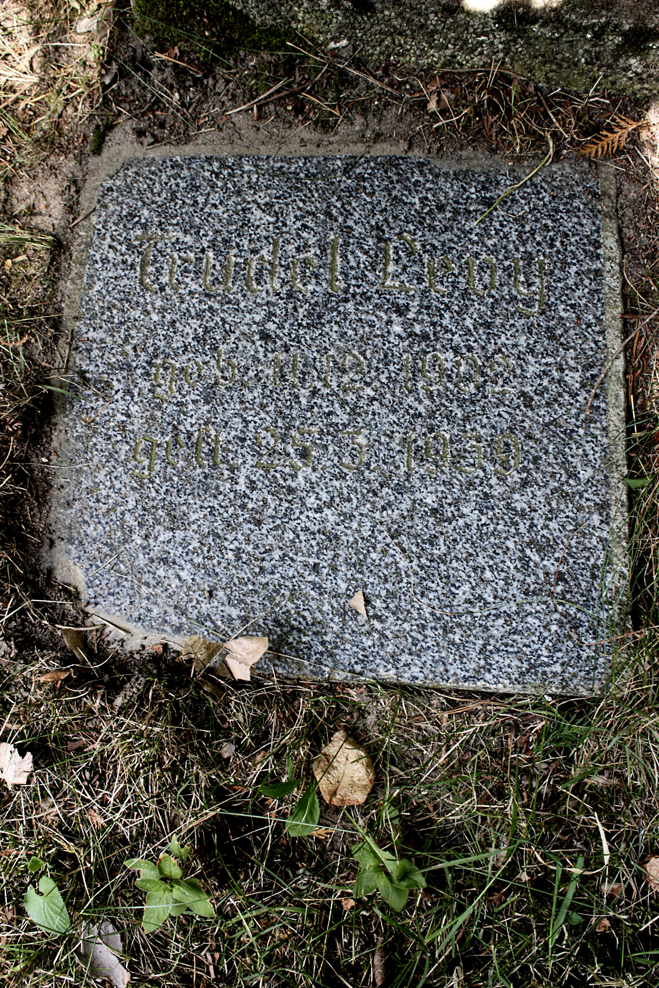 Grabstein Nummer 65 auf dem Friedhof Cottbus 1