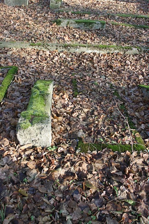 Grabstein Nummer 11 auf dem Friedhof Witnica (Vietz)